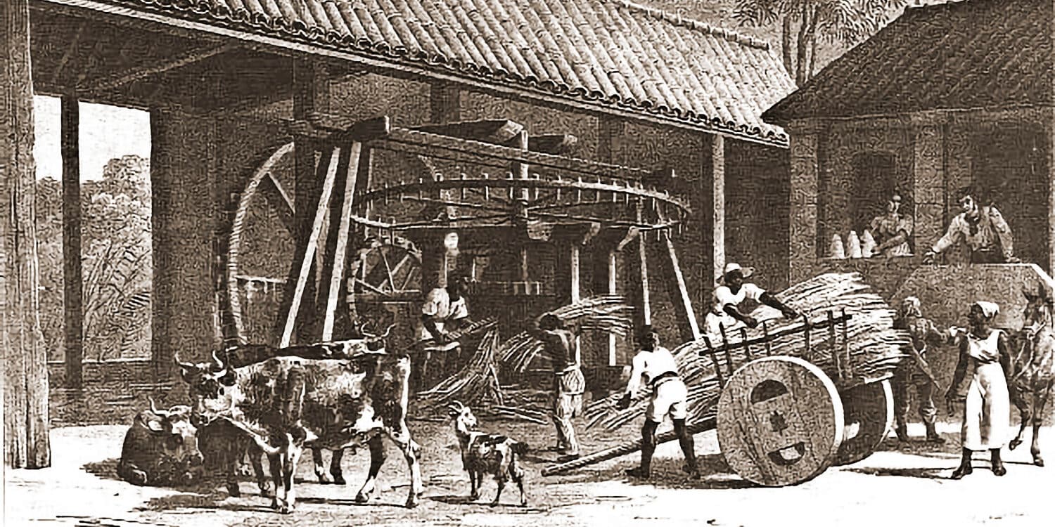 Manoel Joaquim de Mendonça Castelo Branco, o Barão de Anadia