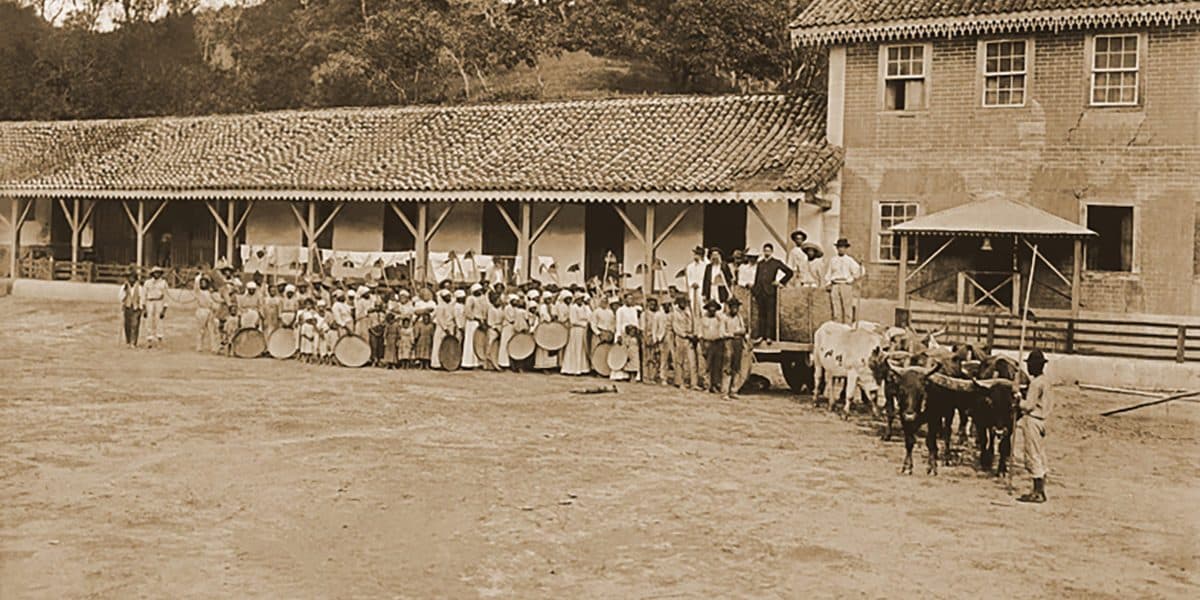 Escravidão em Alagoas e os escravos castigados