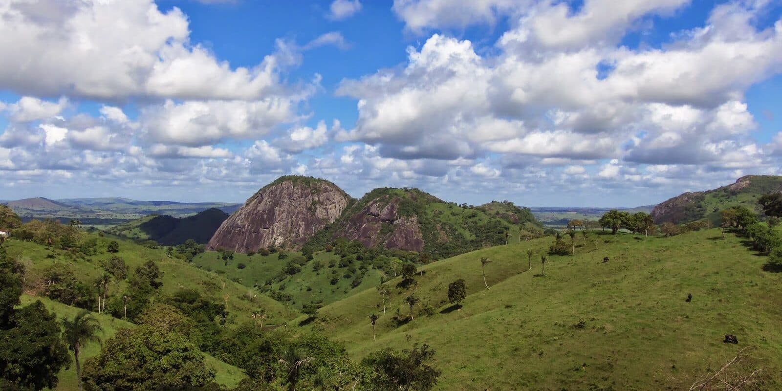Maribondo e o Poço da Caatinga