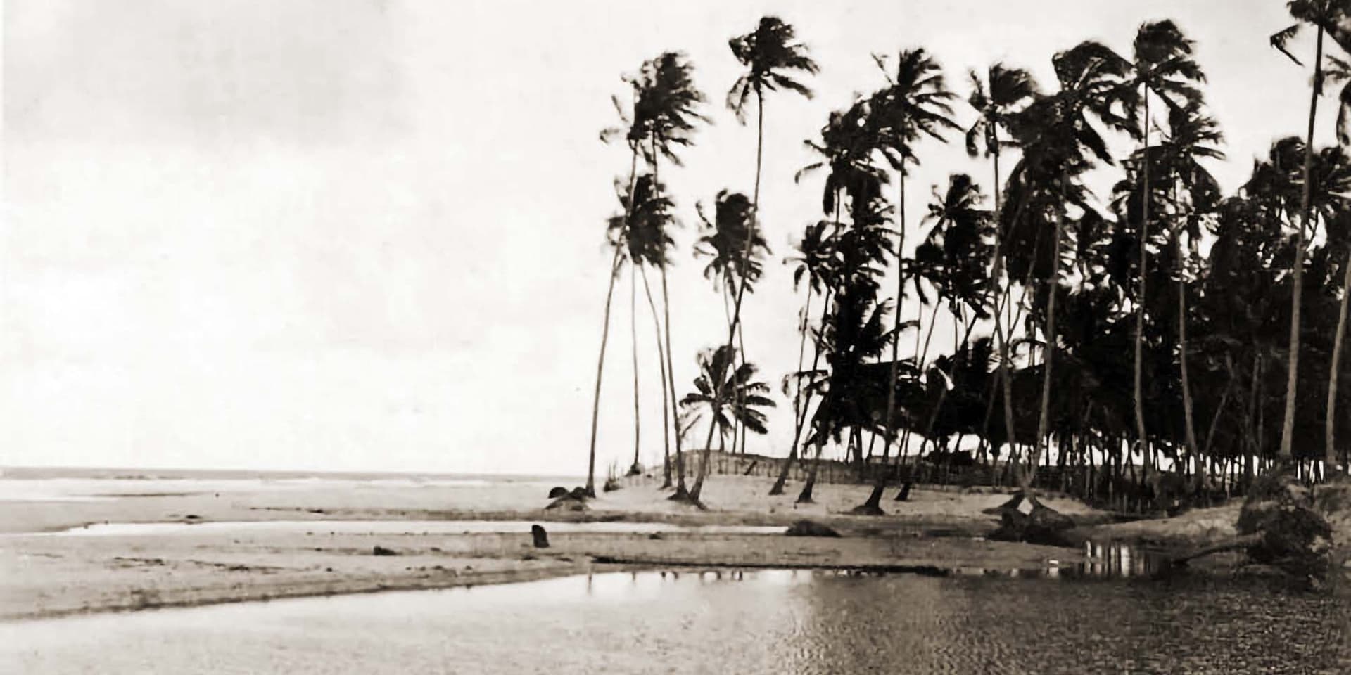 Sobral, a Praia do dr. Manoel Sobral Pinto em Maceió