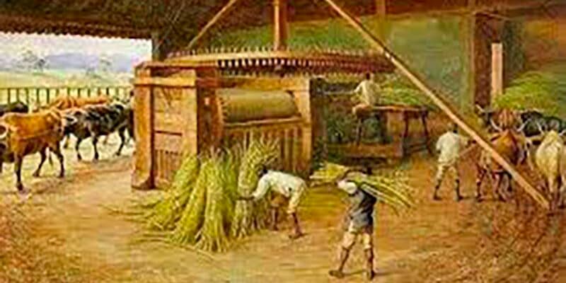 José Antônio de Mendonça Filho, o Barão de Mundaú