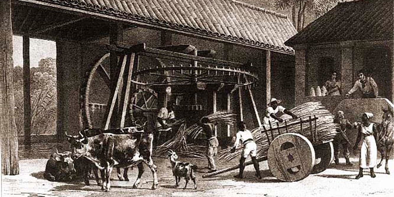 Outra heroína miguelense