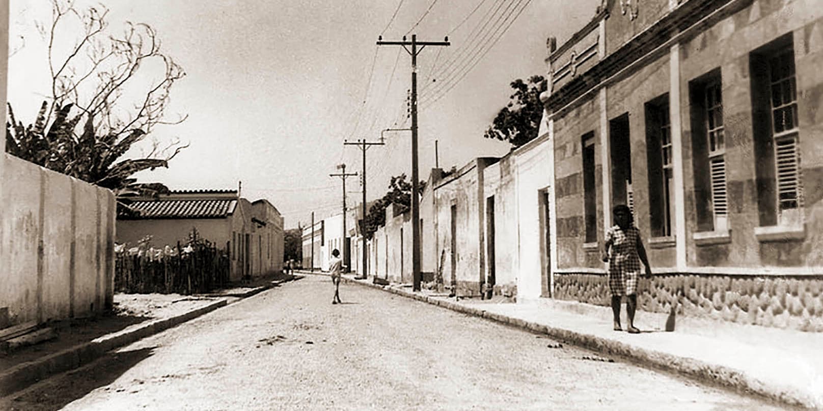 José Amaral, um empreendedor