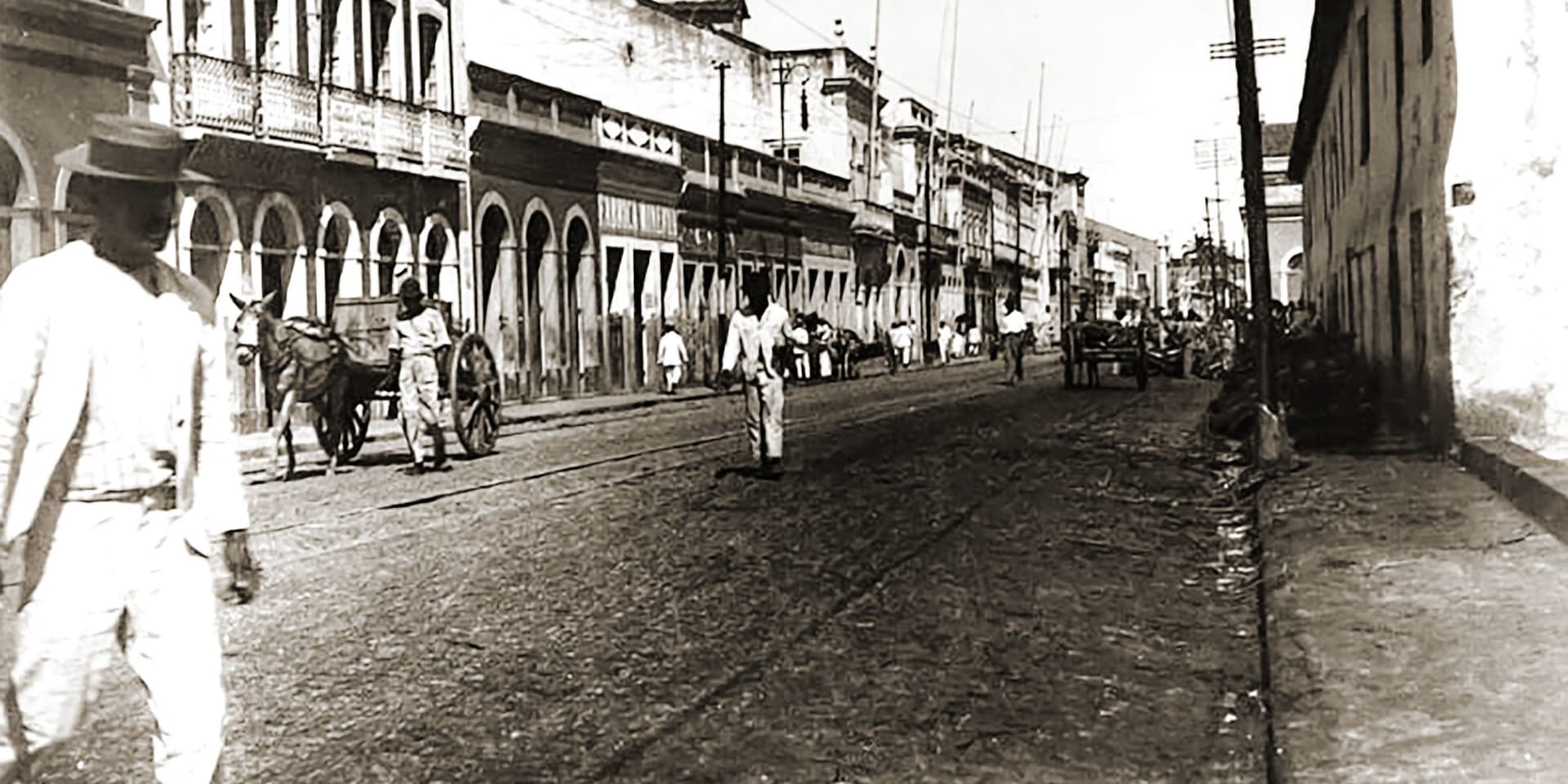 Evocação de Félix Lima Júnior