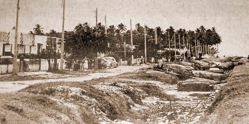 Amélia Rosa foi a mãe do Silva