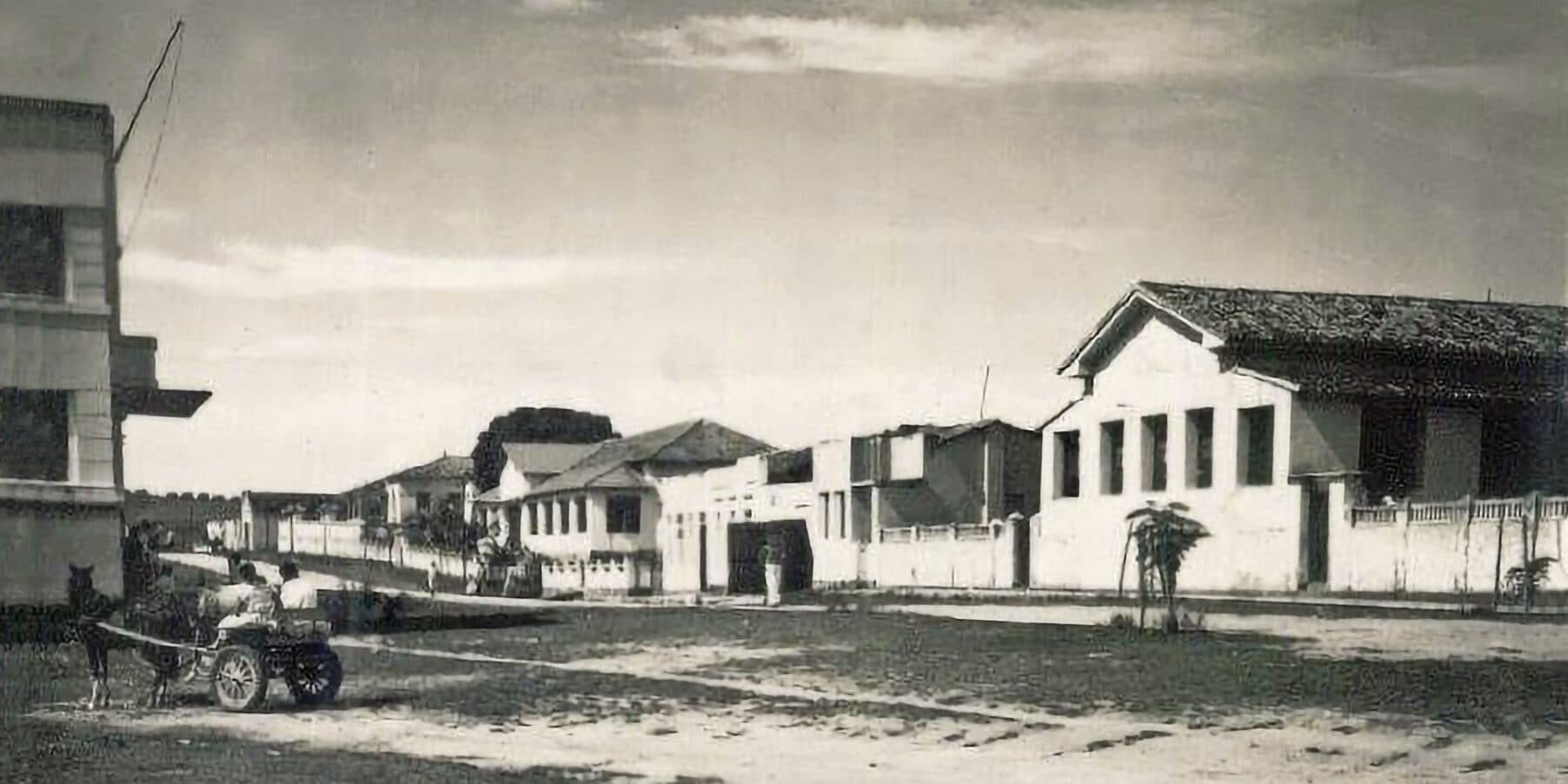 A Cotonia Brasileira de União dos Palmares